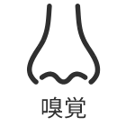 嗅覚